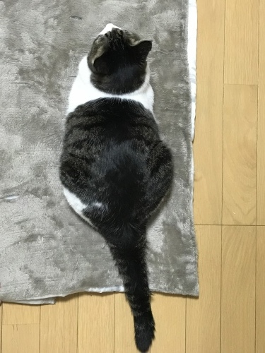 c0340786_17012055.jpeg
