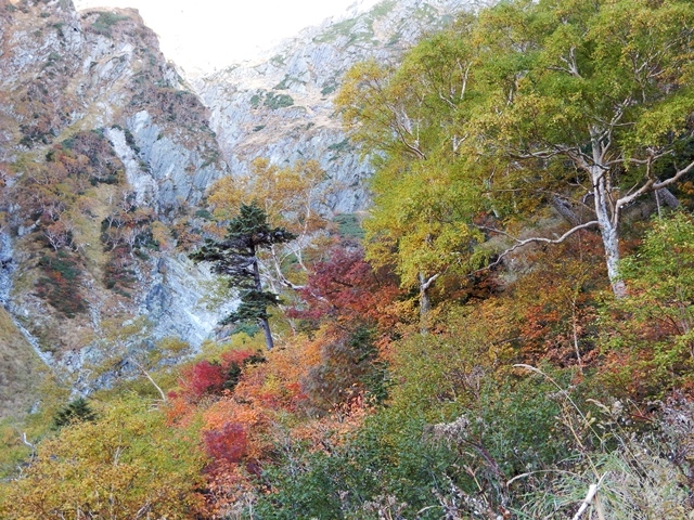 f0357487_21142390.jpg