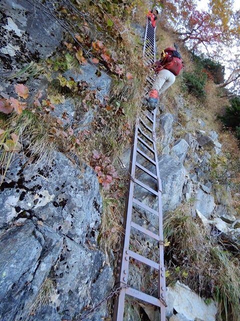 f0357487_21172529.jpg