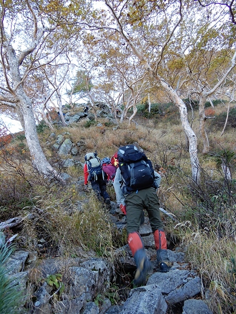 f0357487_21210454.jpg