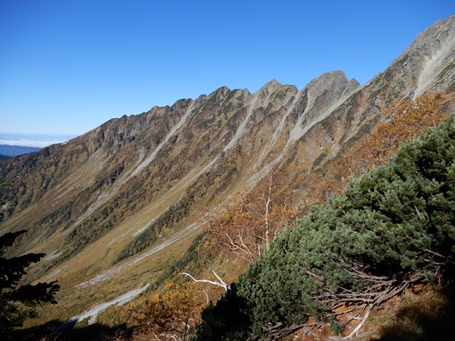 f0357487_21231583.jpg