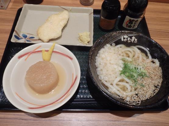 はなまるうどん 元町1番街店_c0118393_09370002.jpg
