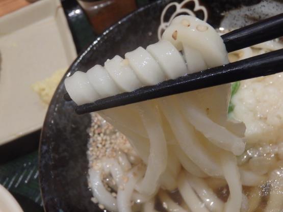 はなまるうどん 元町1番街店_c0118393_09465235.jpg