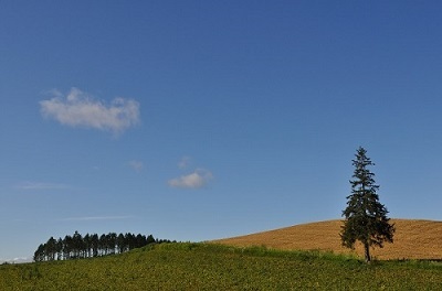 e0180796_13535323.jpg