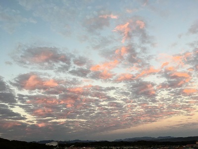 3連休3日目はくばたん来る。_f0372998_19213055.jpg