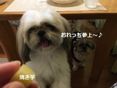 3連休3日目はくばたん来る。_f0372998_19230241.jpg