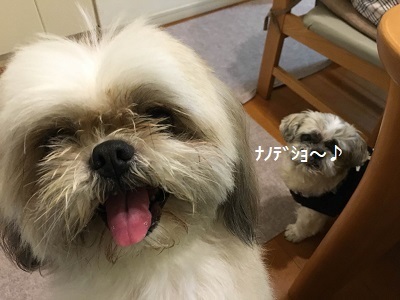 3連休3日目はくばたん来る。_f0372998_19231123.jpg