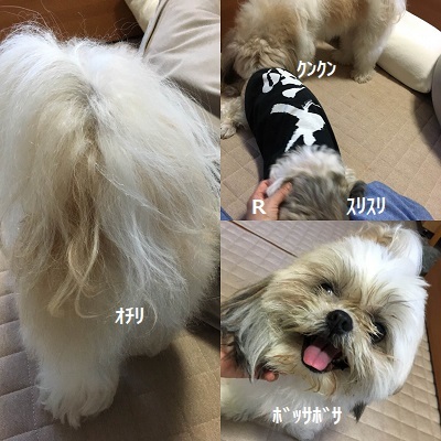 3連休3日目はくばたん来る。_f0372998_19232684.jpg