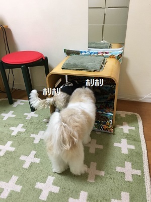 3連休3日目はくばたん来る。_f0372998_19233596.jpg