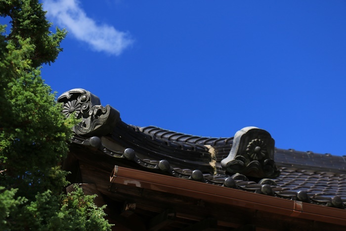 a0123003_10494276.jpg