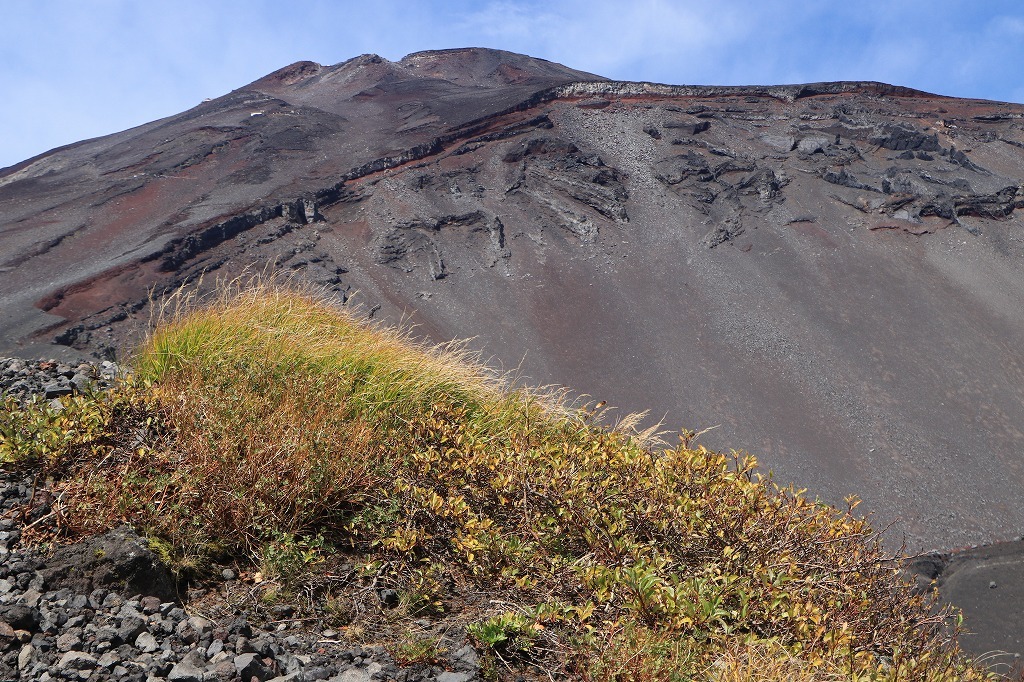 a0188405_20555718.jpg