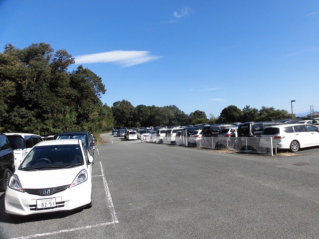 アジア大会6冠の池江選手が出場 水泳の岩崎恭子CUP2018静岡招待スプリント_f0141310_06513386.jpg