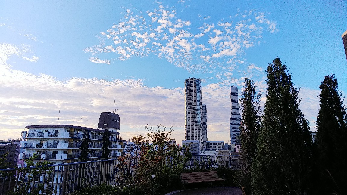 a0098418_08472221.jpg