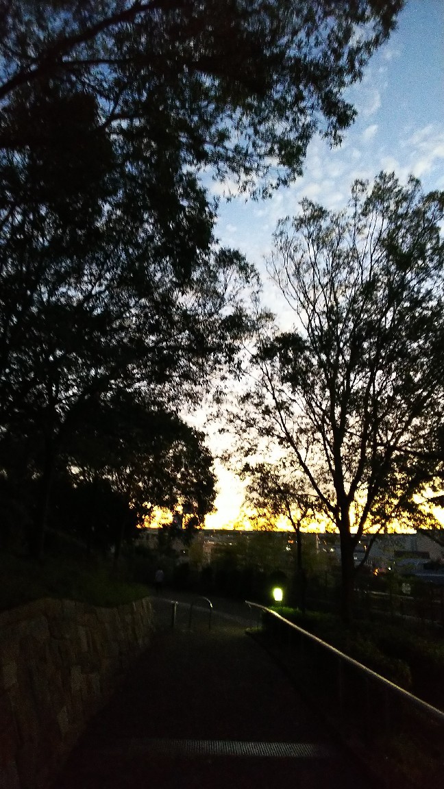 a0098418_08541447.jpg