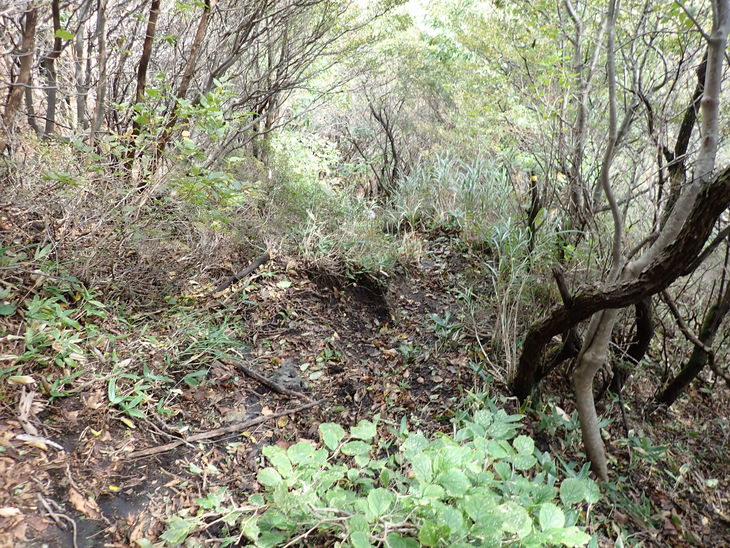 f0193521_75585.jpg