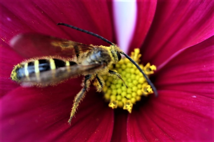 f0354923_22083455.jpg