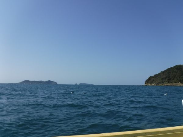c0222430_13452021.jpg