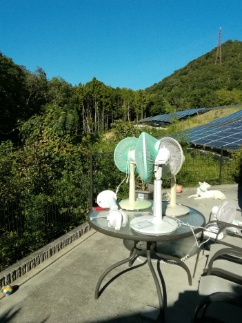 c0209334_17071750.jpg