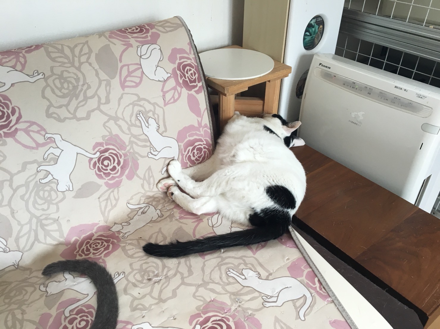 c0342535_22521005.jpeg