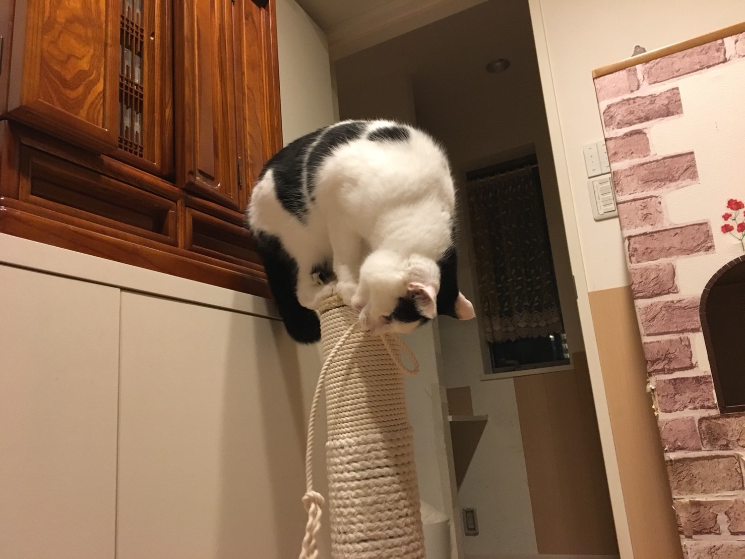 c0342535_22531463.jpeg
