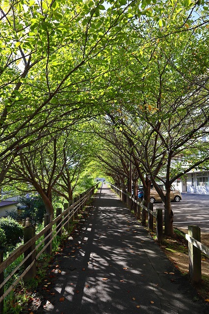 a0242438_20582555.jpg