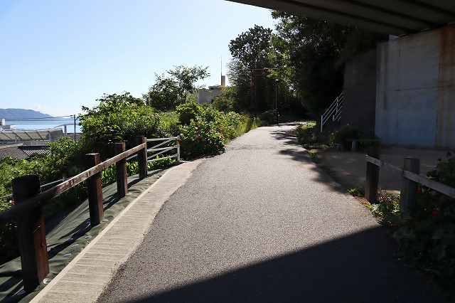 a0242438_20591147.jpg