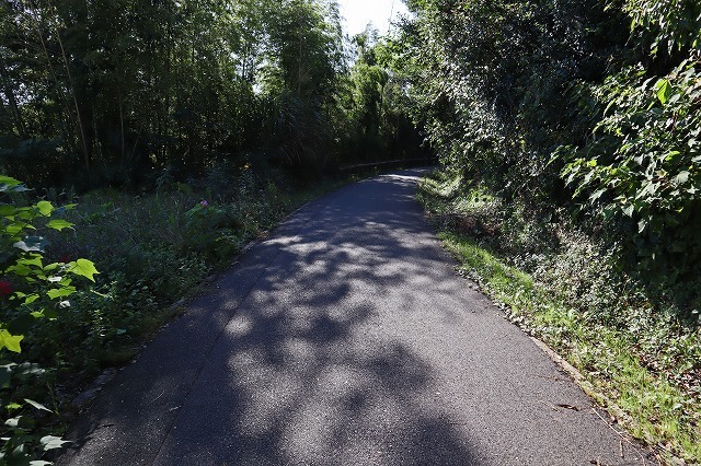a0242438_20592339.jpg