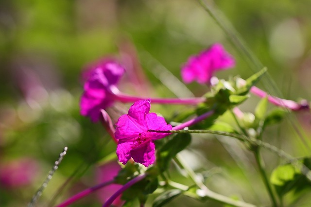 a0242438_20595922.jpg
