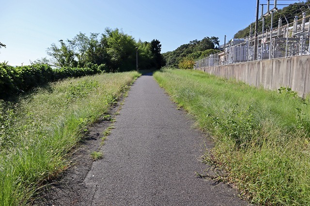 a0242438_20595935.jpg