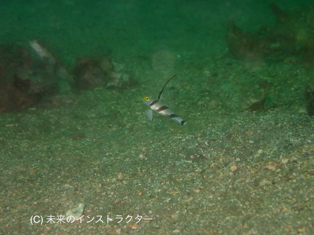 b0163039_17305957.jpg