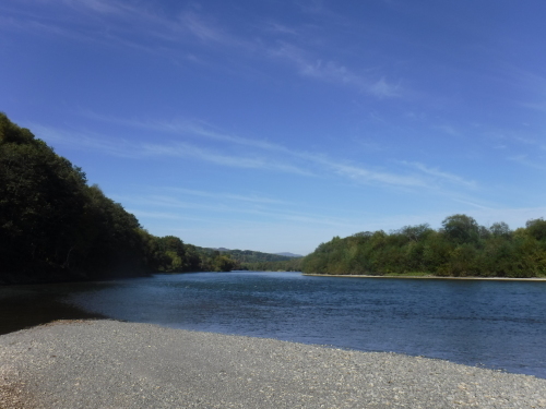 e0242439_00172347.jpg
