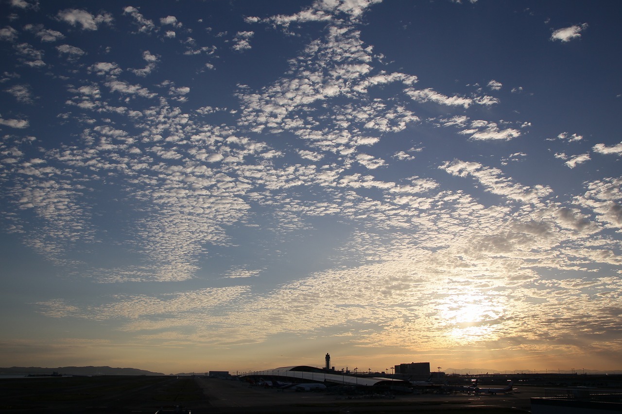 d0313140_00215480.jpg