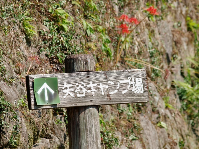 c0281841_14254956.jpg