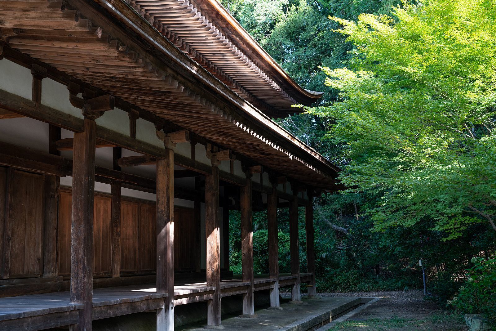 【国宝|法界寺】 行き方、見学のしかた (京都府 京都市) _b0212342_08254105.jpg