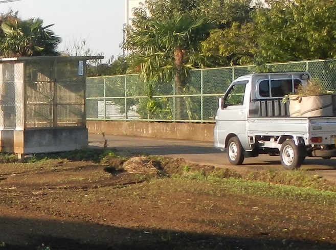 e0272042_16350631.jpg