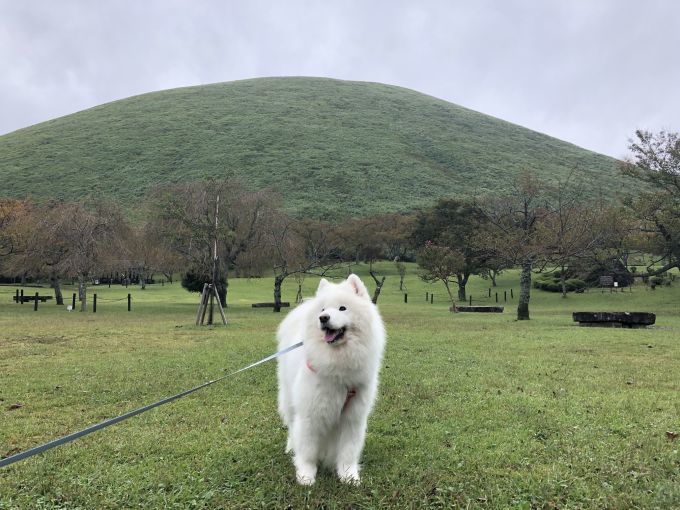 2018年秋 伊豆旅行 その2_f0128542_01311687.jpg