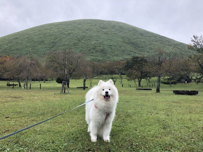 2018年秋 伊豆旅行 その2_f0128542_01340713.jpg