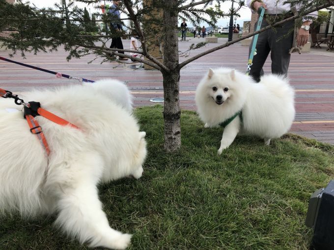 2018年秋 伊豆旅行 その2_f0128542_01432399.jpg