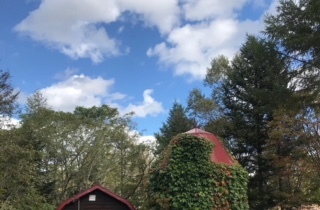 f0238042_22173694.jpeg