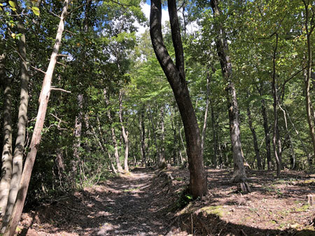 a0221044_09554640.jpg