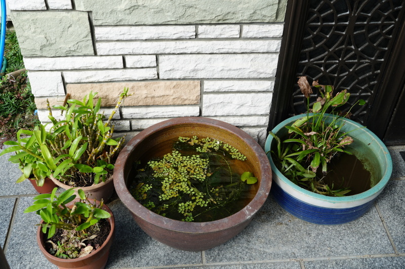 c0306845_13591384.jpg