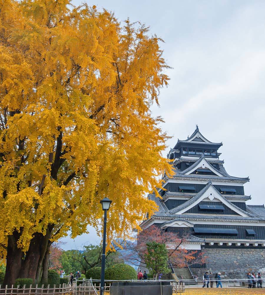 風景 回想①）震災前の熊本城＝熊本県熊本市_d0238245_20175633.jpg