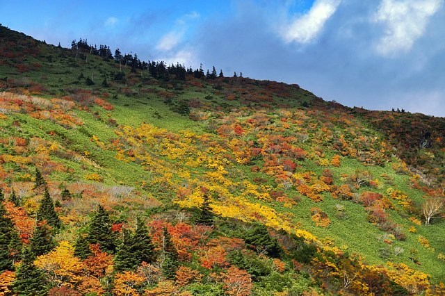 b0122448_07044680.jpg