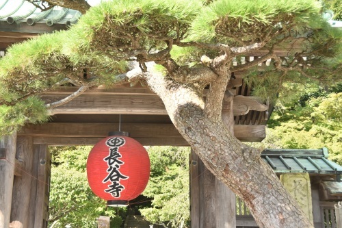 b0400153_18532393.jpg