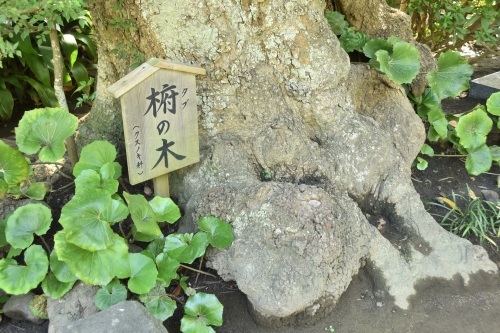 b0400153_18533459.jpg