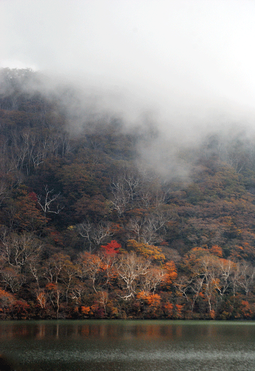 10月9日　赤城山 小沼紅葉2018_a0001354_23524138.gif