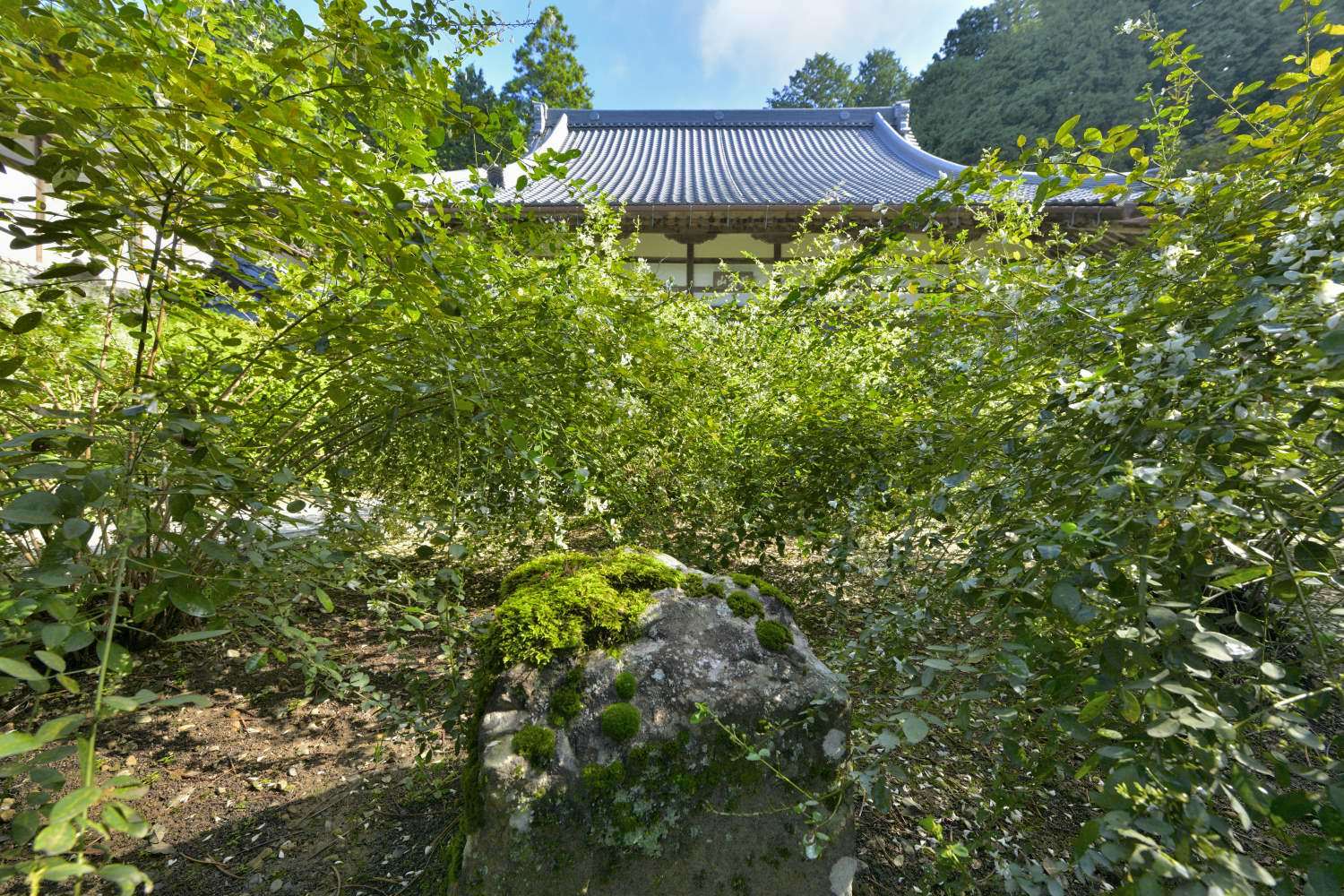 d0286954_12531341.jpg