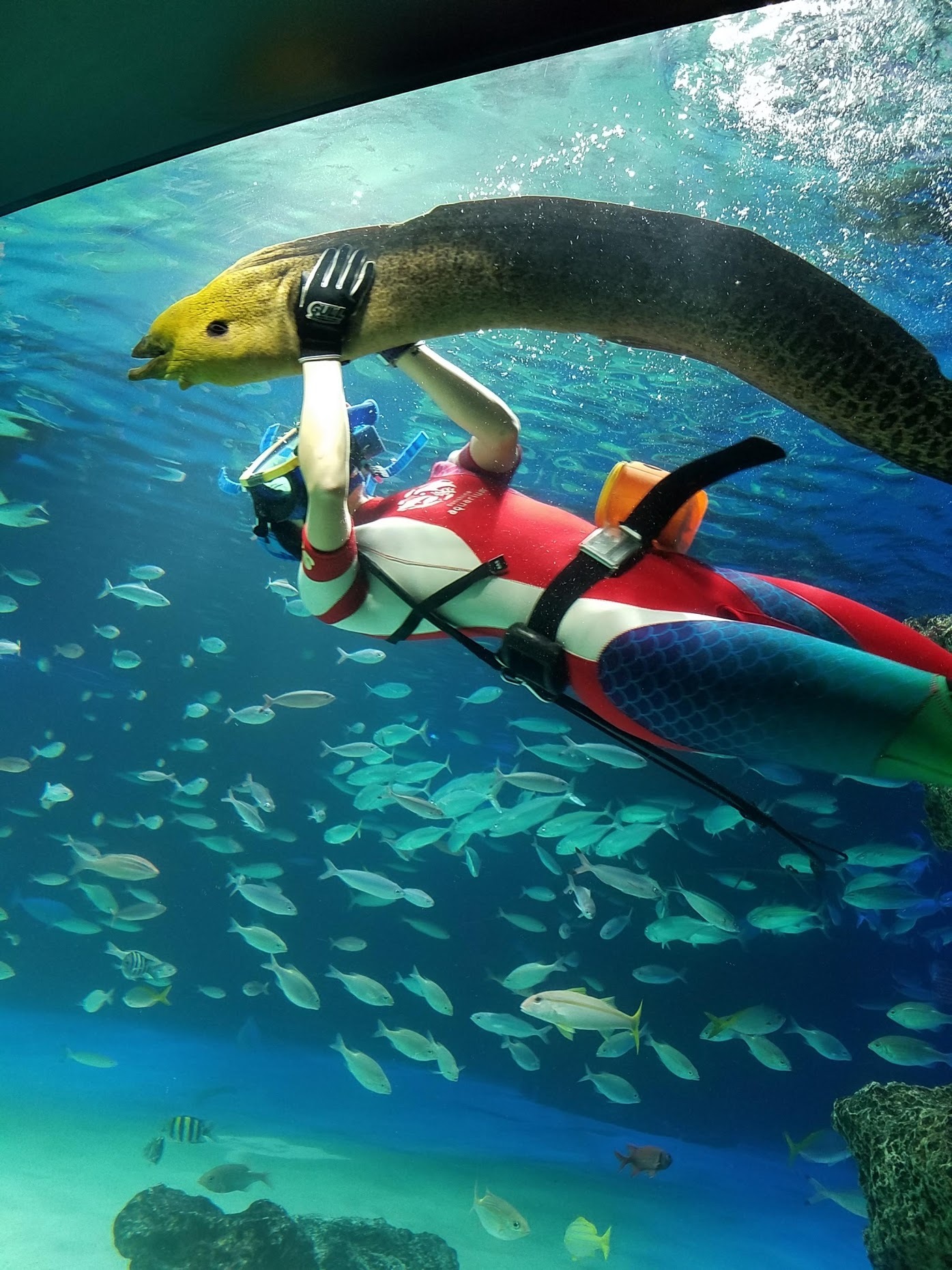 水族館へ_e0074955_07321099.jpg