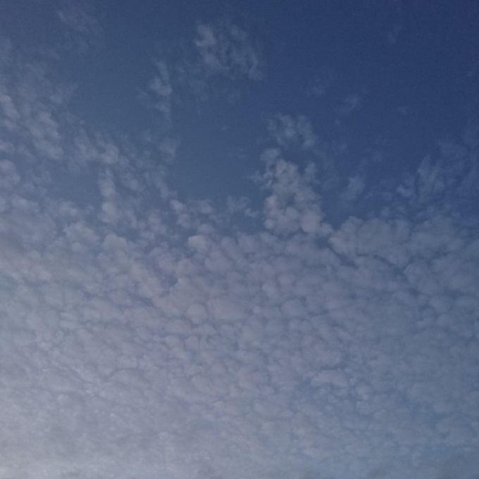 e0354456_09453706.jpg