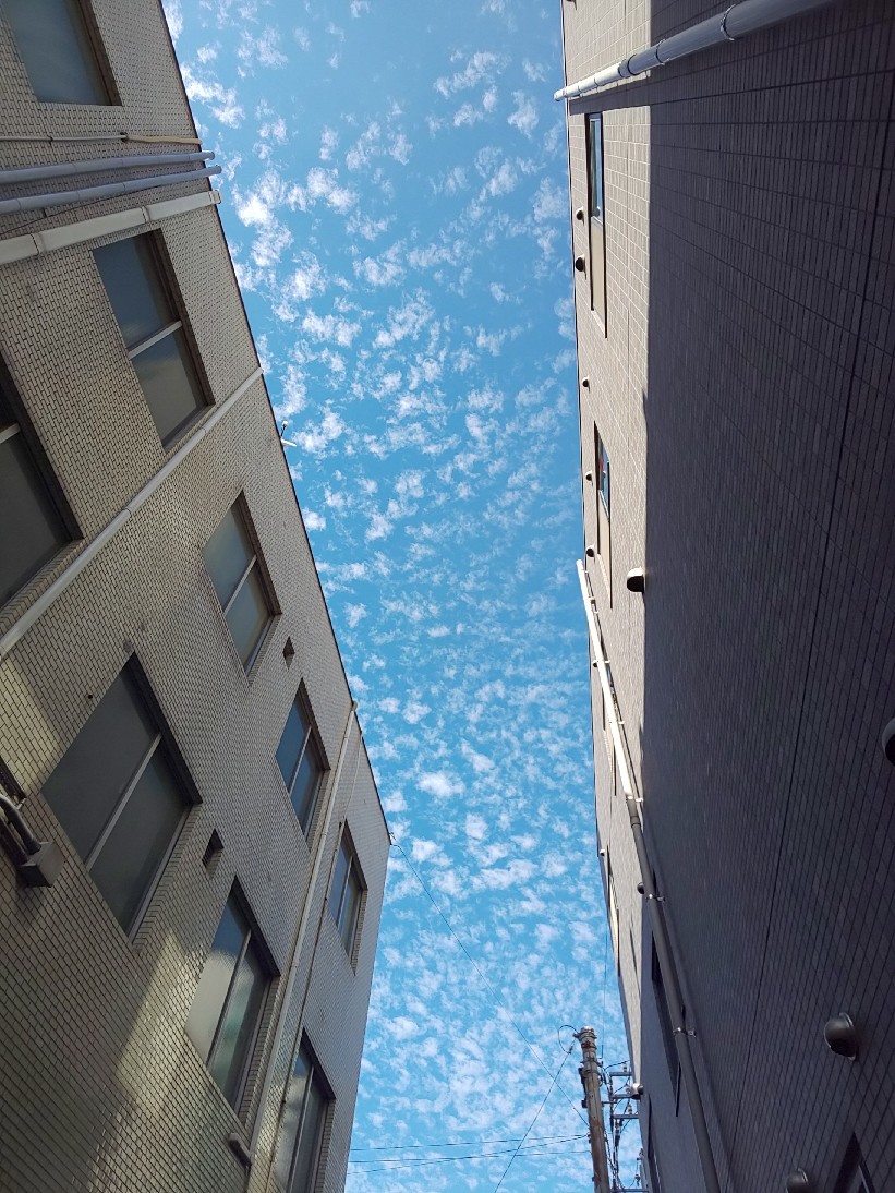 e0047657_00024289.jpg